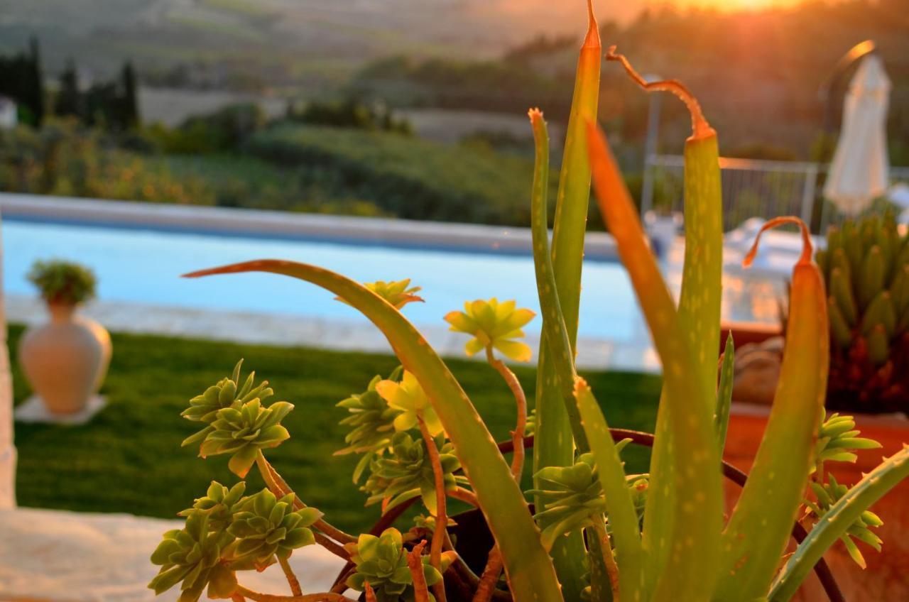Casa Vacanze Magnolia Terricciola Esterno foto