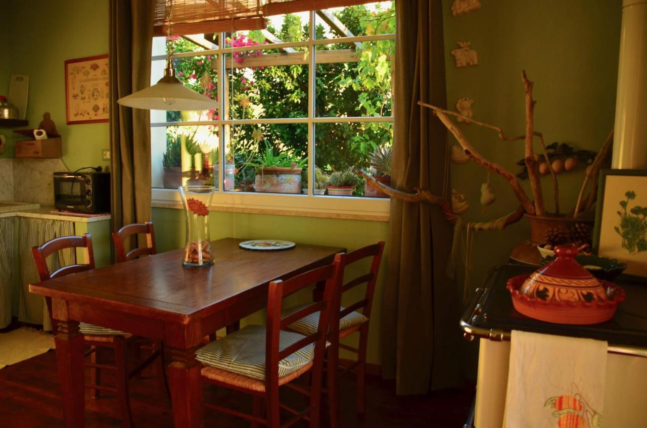 Casa Vacanze Magnolia Terricciola Esterno foto